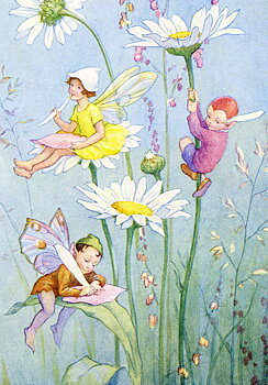 Fairy Land dasies, Minicard