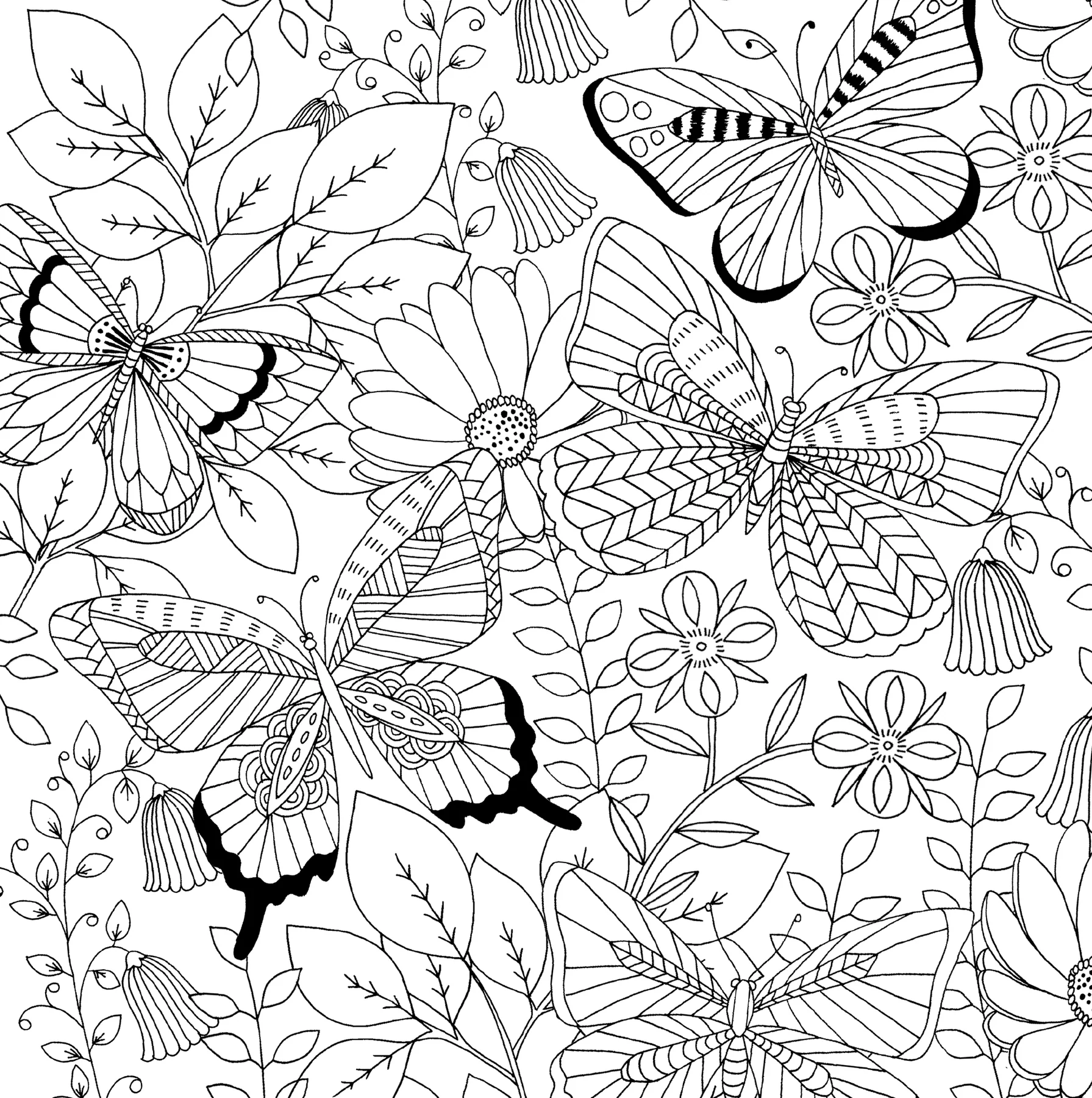 Follow Your Dreams Artist's Coloring Book - 11