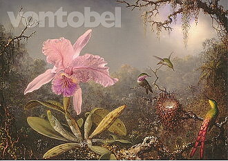 Cattleya Orchid and Three Hummingbirds (1871), Postcard
