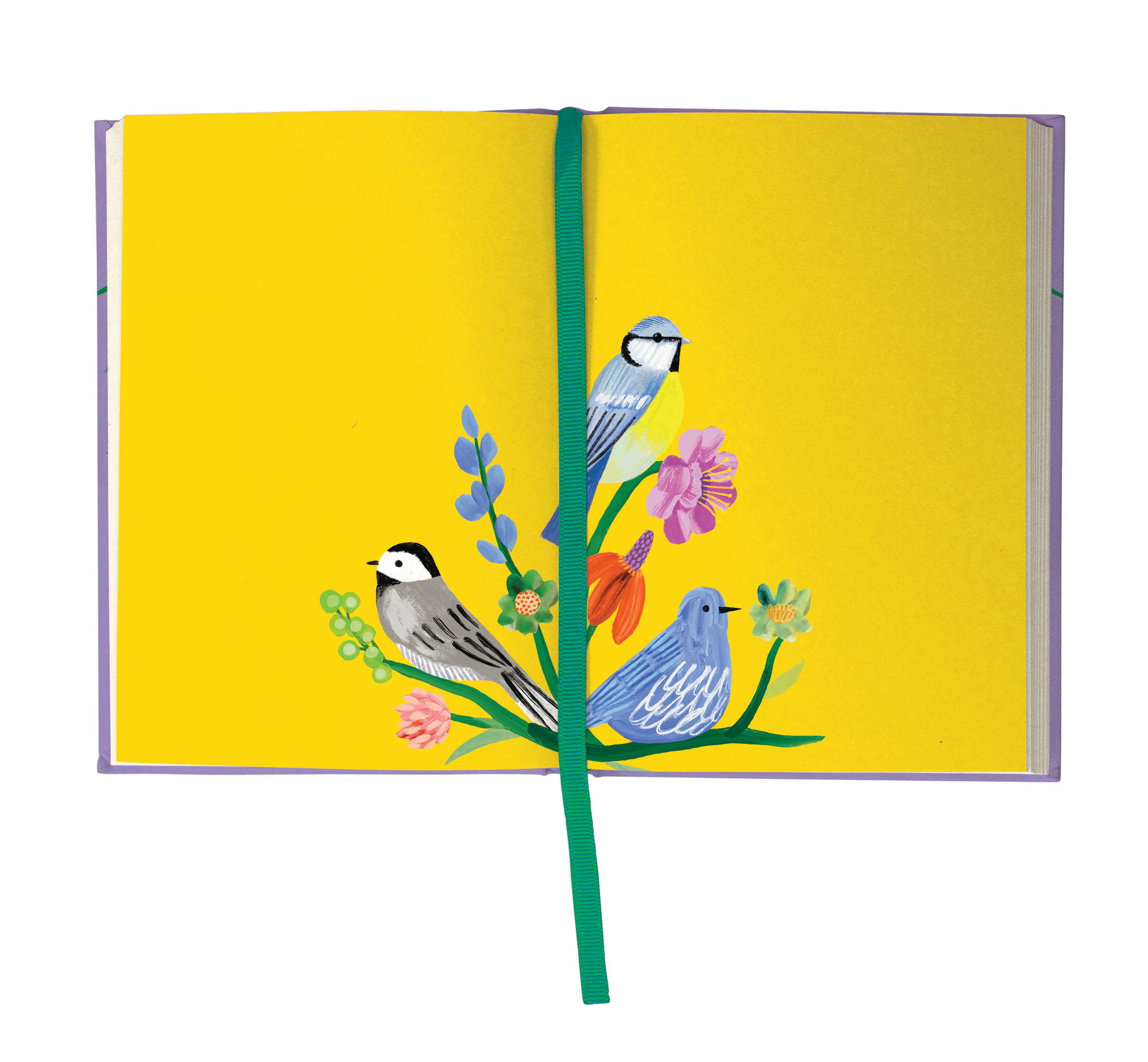Birdhaven Illustrated Journal - 5