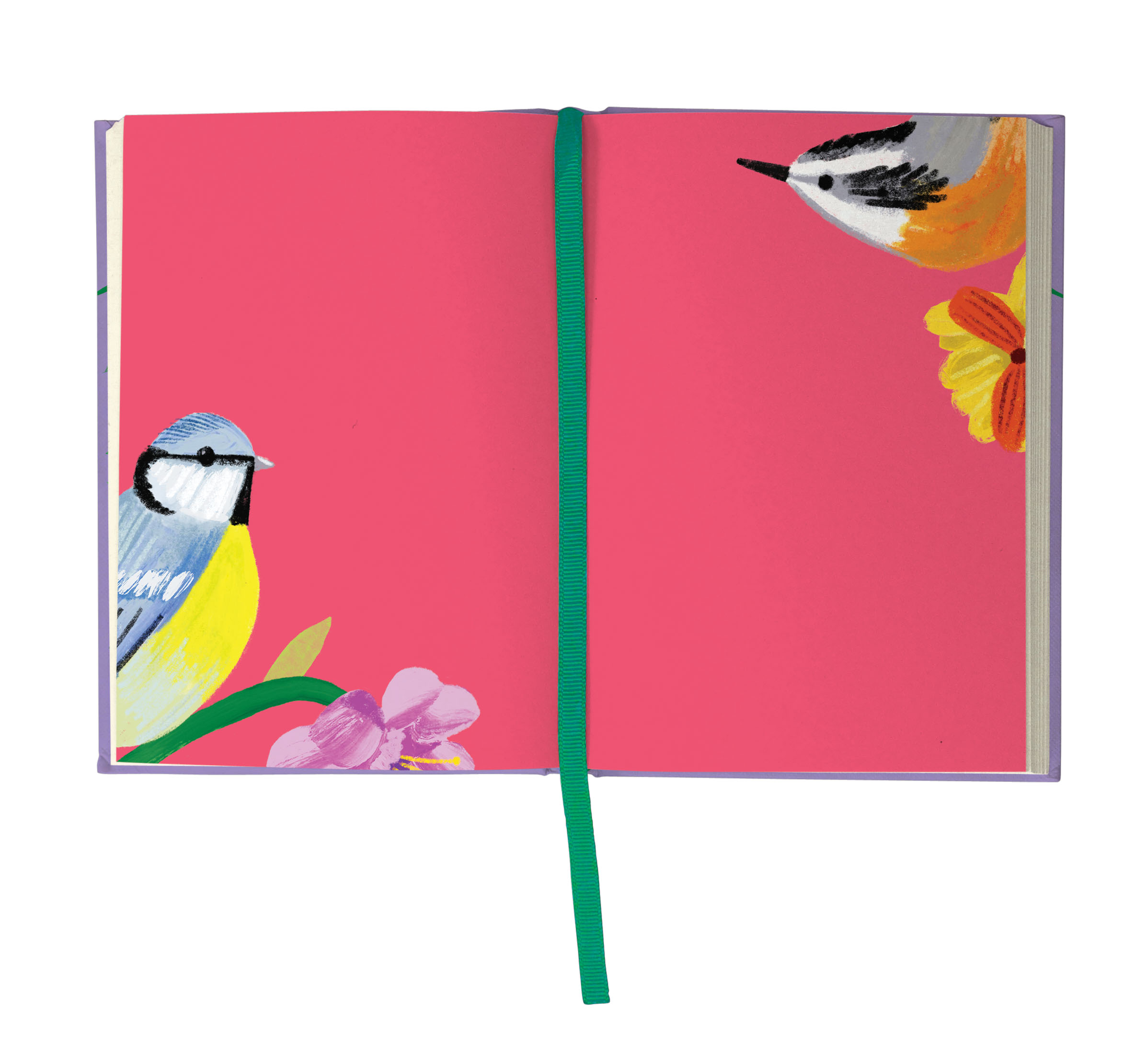 Birdhaven Illustrated Journal - 6