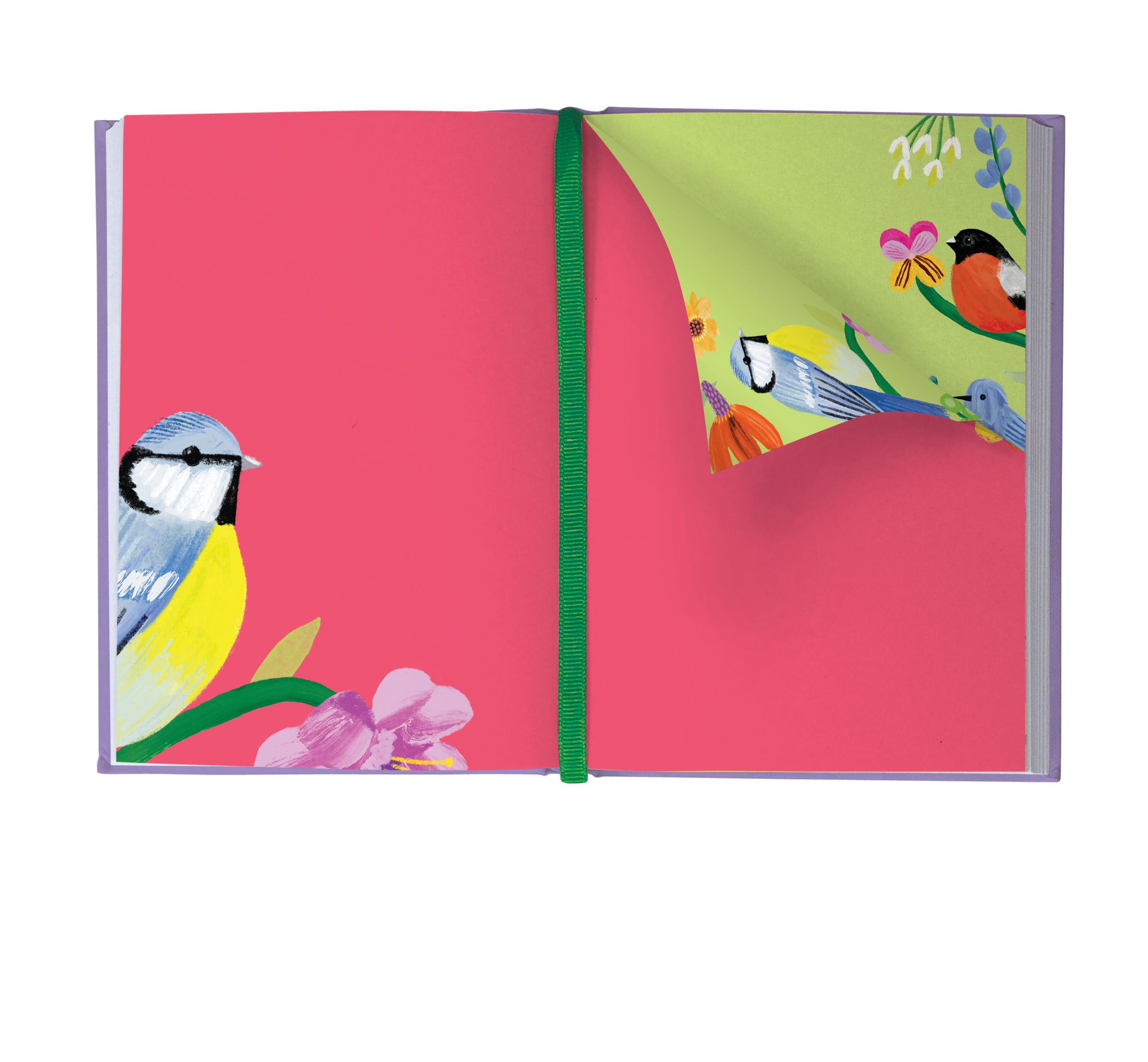 Birdhaven Illustrated Journal - 2