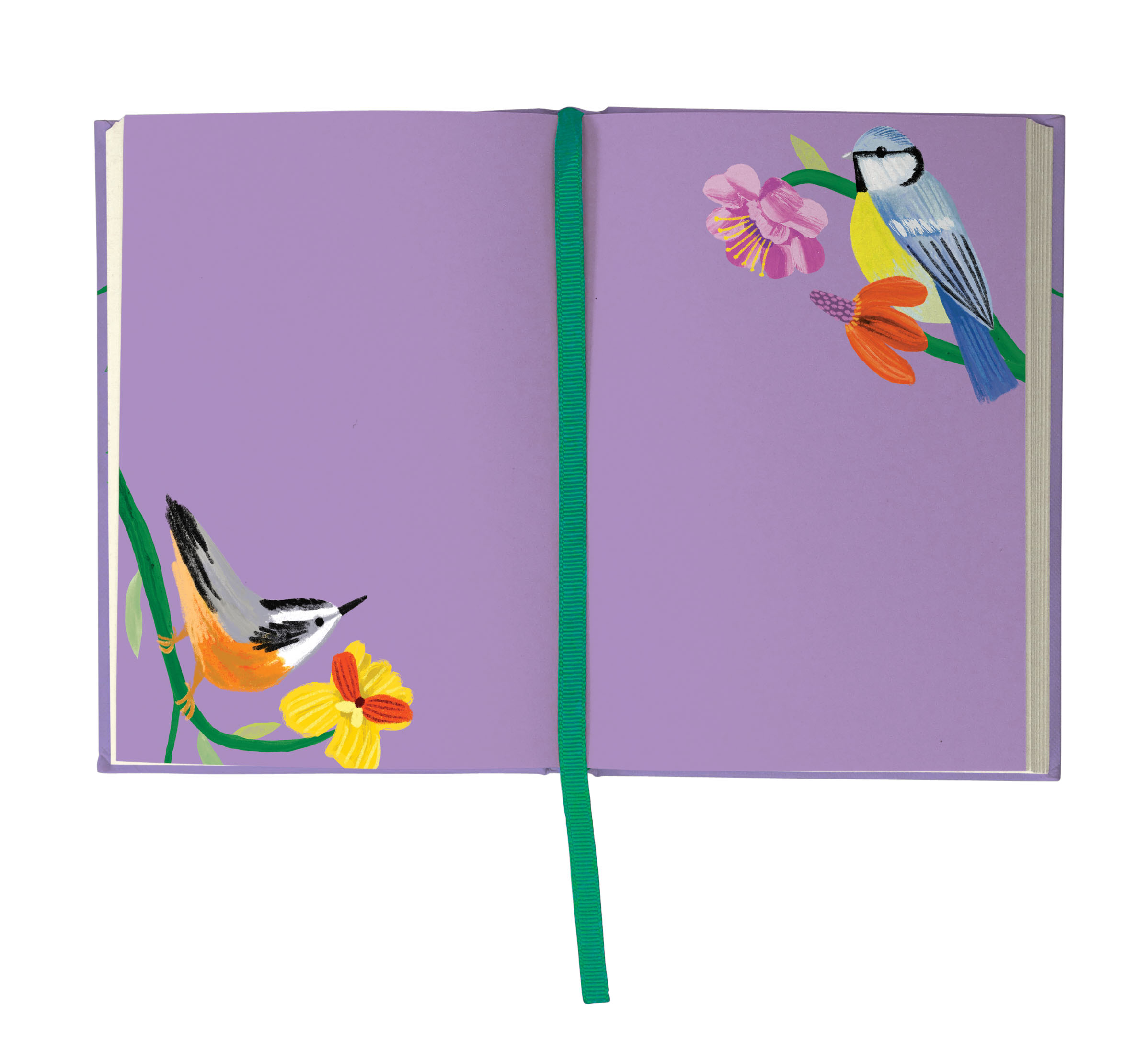 Birdhaven Illustrated Journal - 10