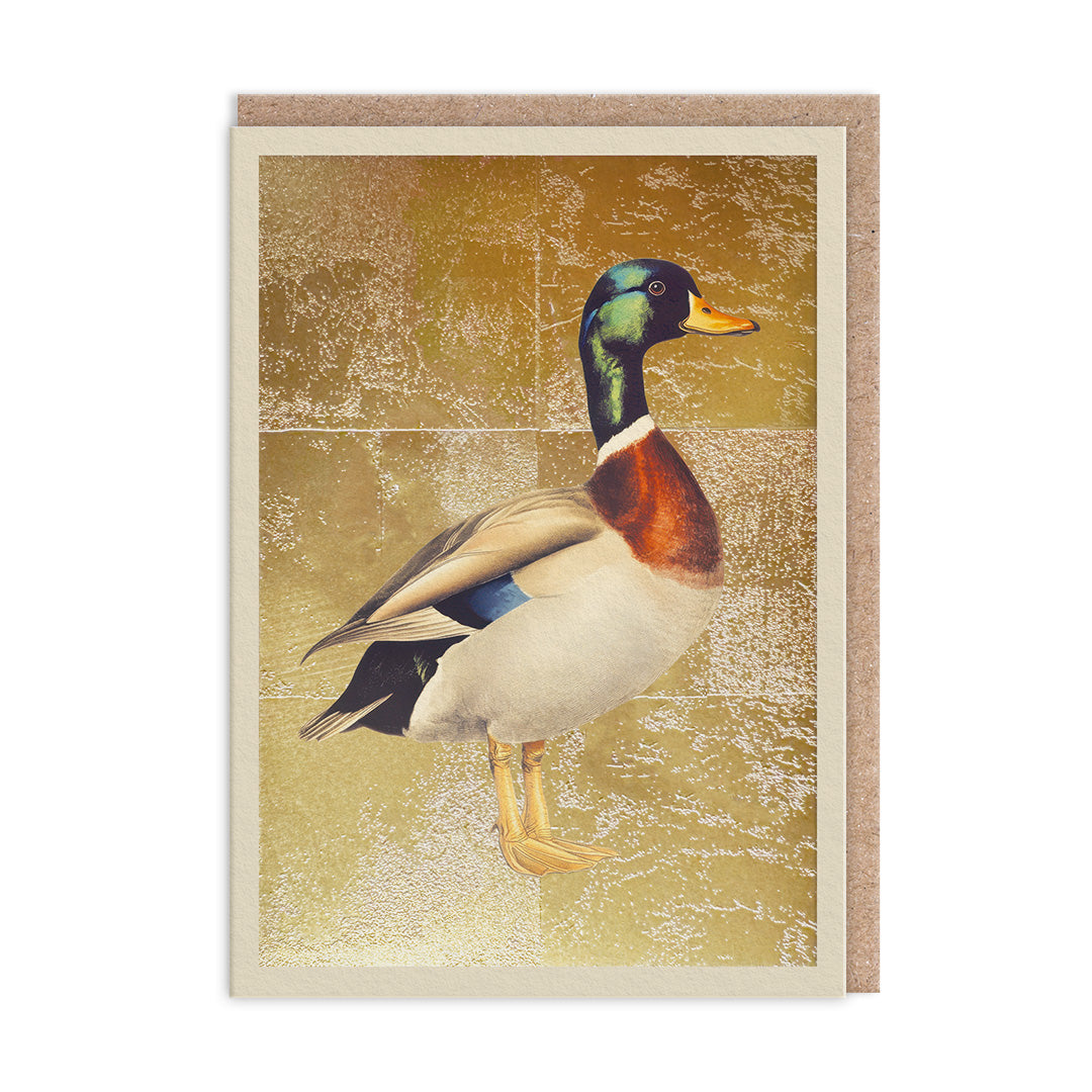 Mallard, Greeting Card (A6)