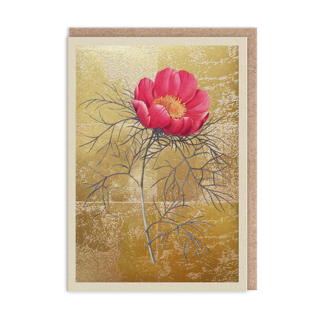 Peony, Greeting Card (A6)