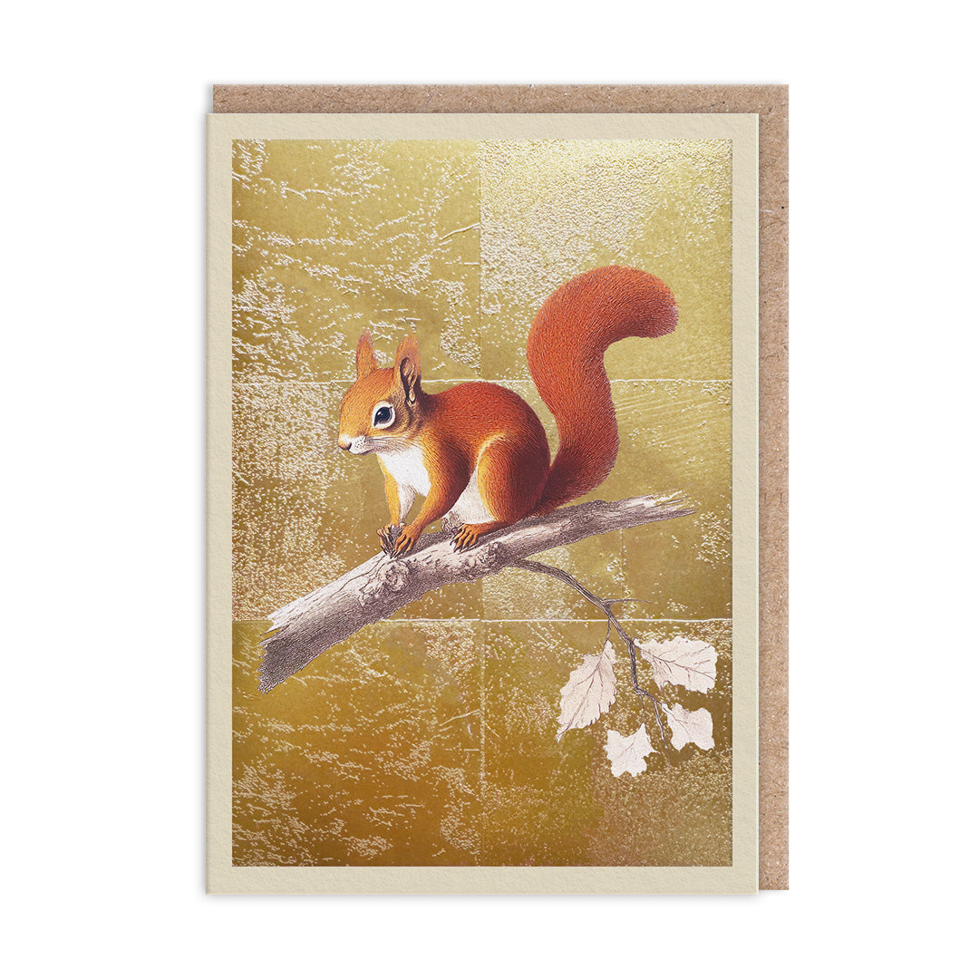 Red Squirrel, Greeting Card (A6)