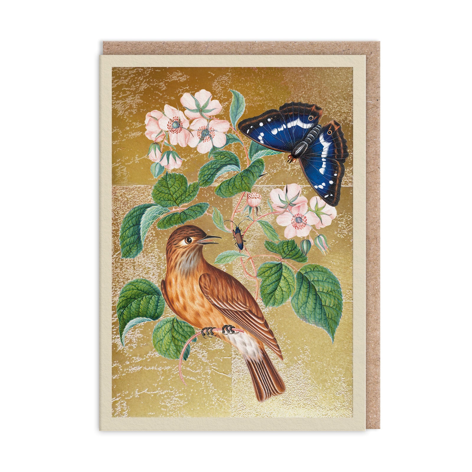 Wren, Greeting Card (A6)