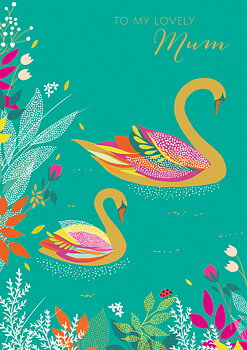 Swans, Greeting Card
