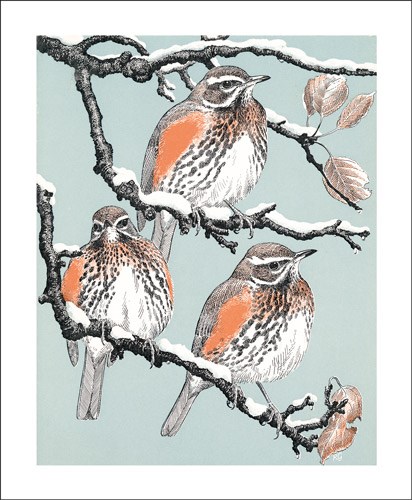 Robert Gillmor/ Redwings 