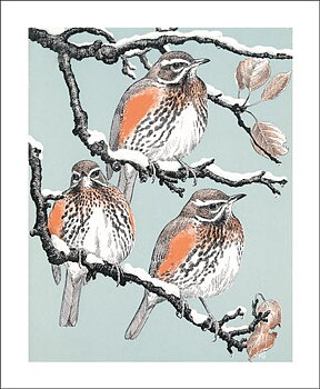 Robert Gillmor/ Redwings 