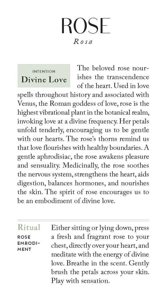Botanicals Deck - 8