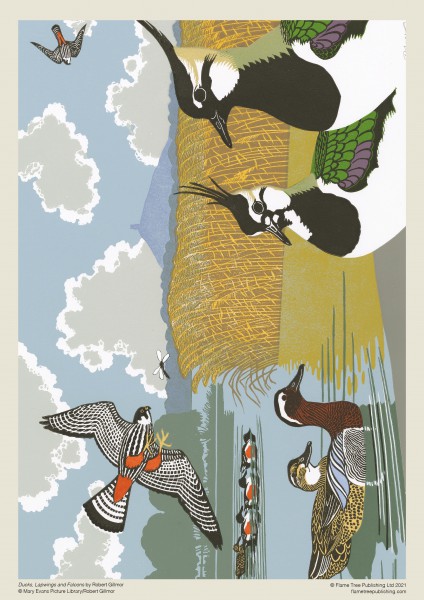 Robert Gillmor: Ducks, Falcons and Lapwings, (1000 pieces) - 3