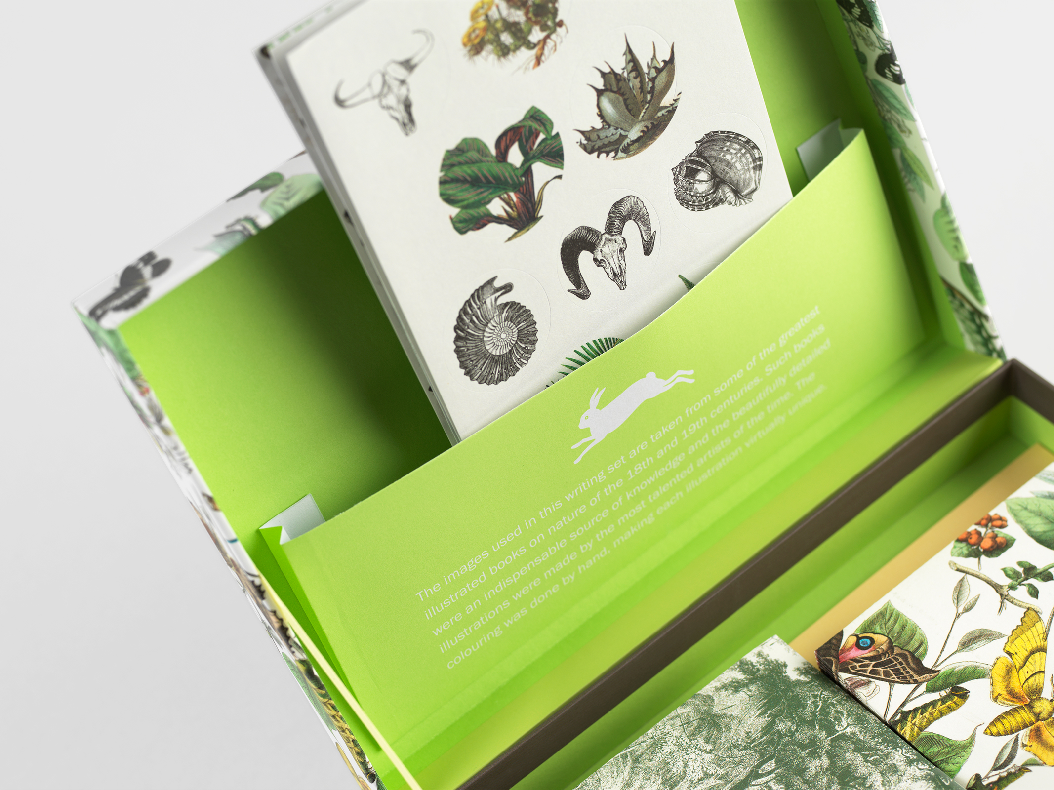 Natural History, Letter Writing Set - 4