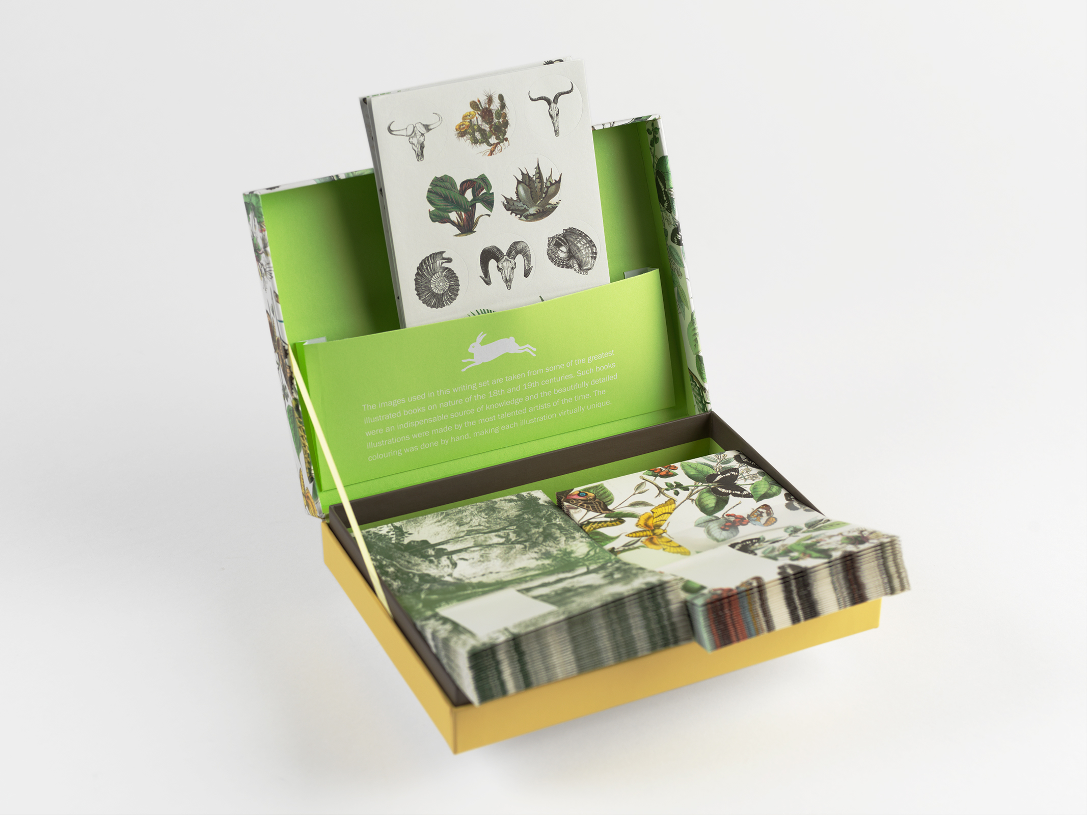 Natural History, Letter Writing Set - 3
