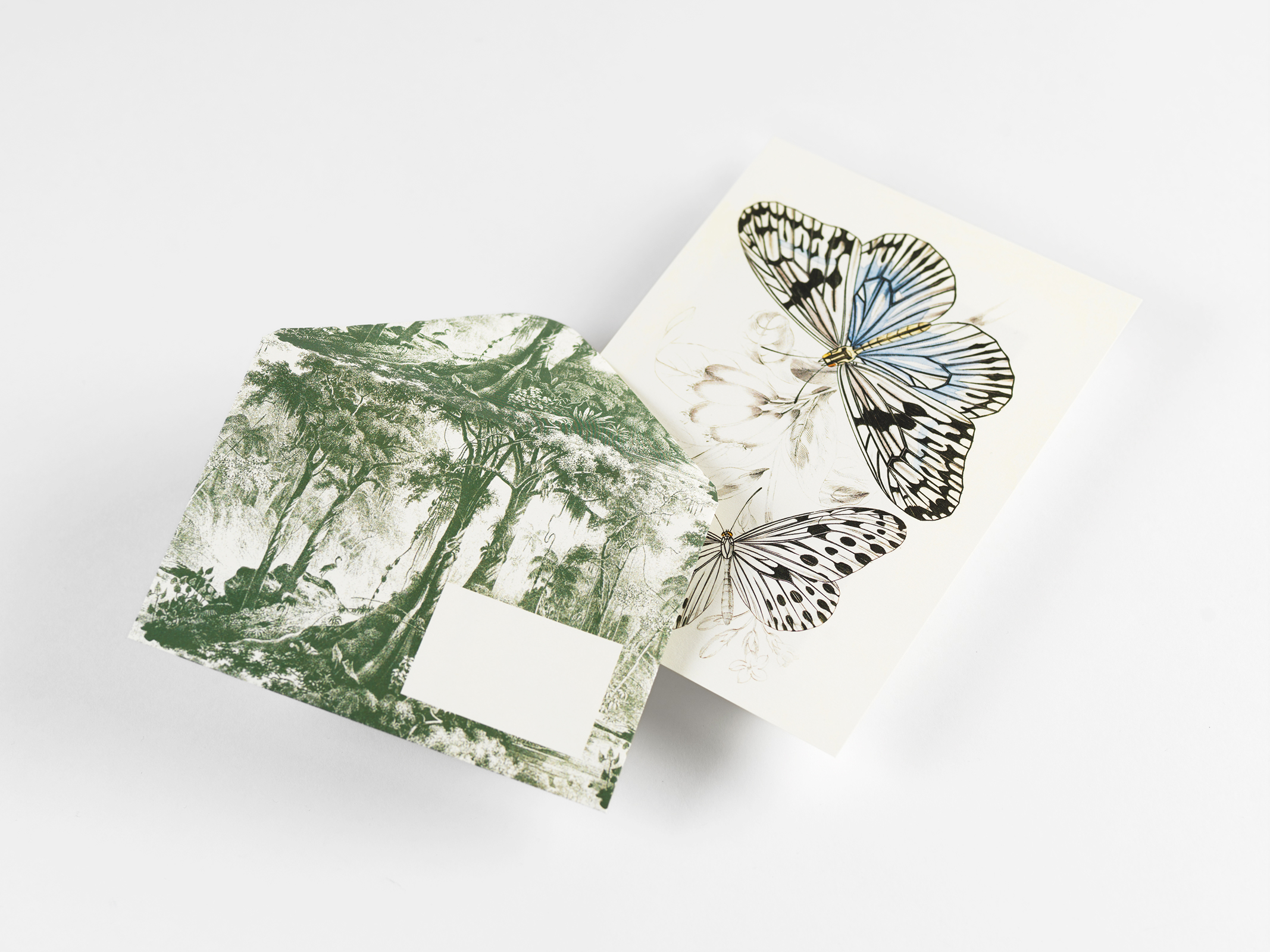 Natural History, Letter Writing Set - 5