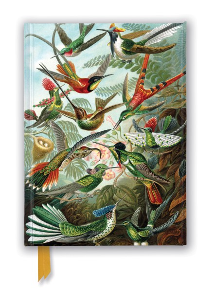 Ernst Haeckel: Hummingbirds, A5 Foiled Journal