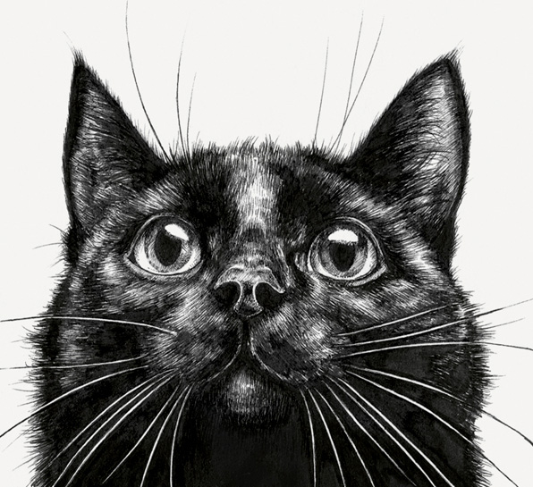 Ink Shadow