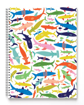 Sketch Books