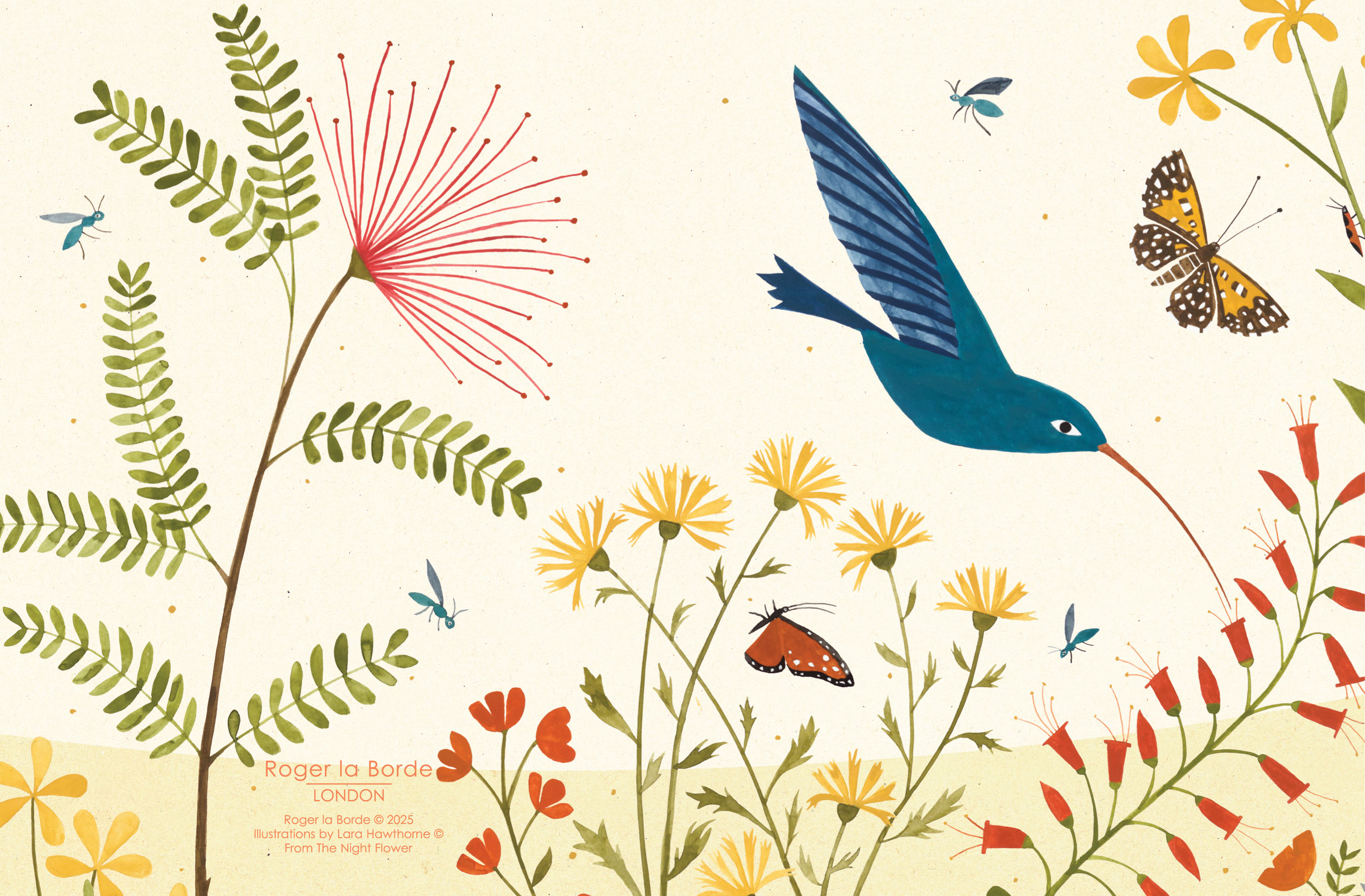 Hummingbird