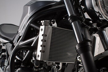 Radiator guard
