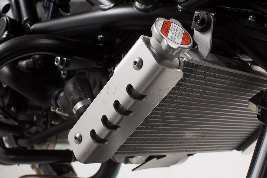 Radiator guard