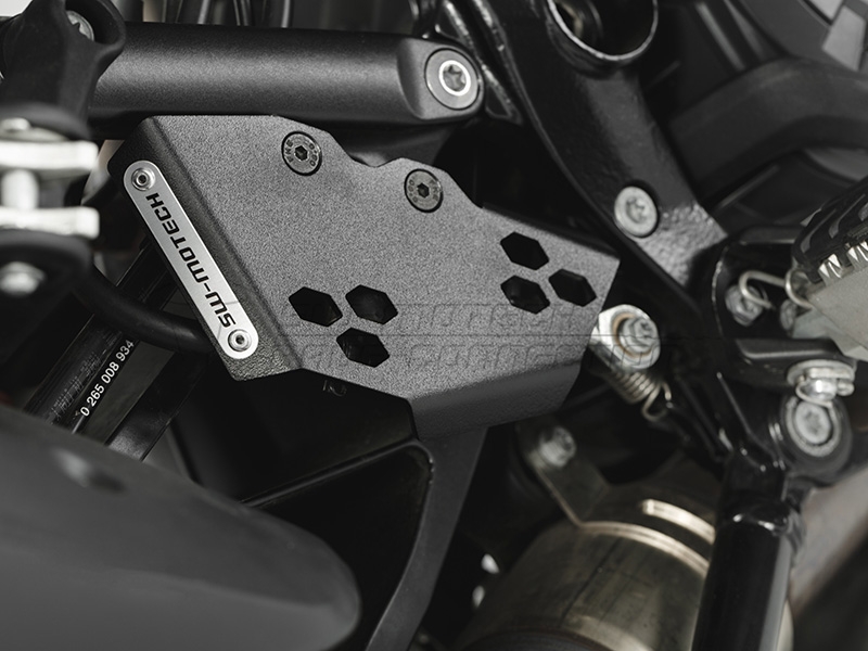 Brake cylinder guard - 2