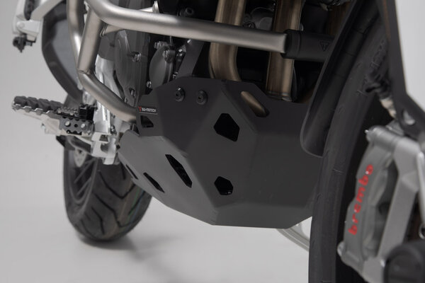Engine guard. Triumph Tiger 900 GT C701 (19-24) - 4