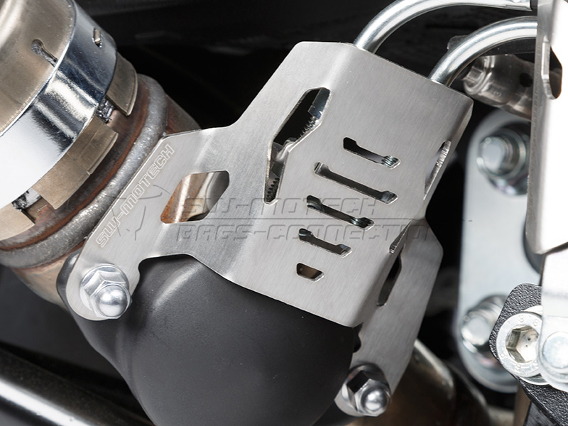 Exhaust valve guard - 2