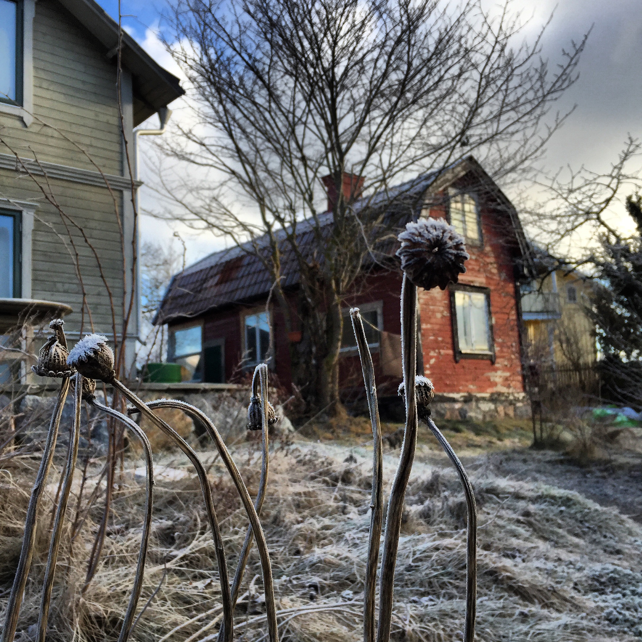 BILDGALLERI  & referenser