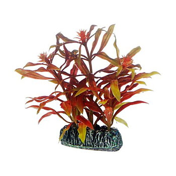 Plast växt-Nesaea 7 cm