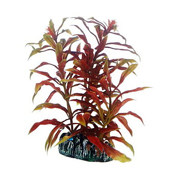 Plast växt-Nesaea 13 cm