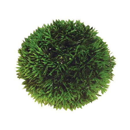 Plast växt-Plant ball 13cm