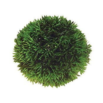 Plast växt-Plant ball 13cm