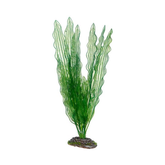Plast växt- Aponogeton 39cm