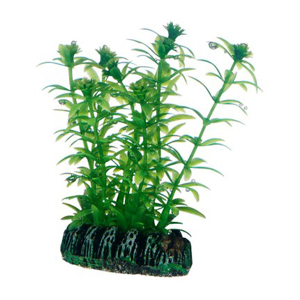 Plast växt- Lagarosiphon 7cm