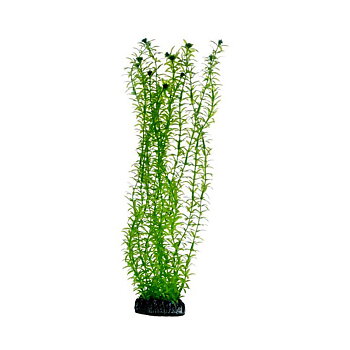 Plast växt- Lagarosiphon 30cm