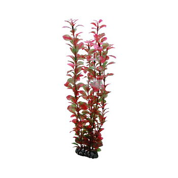 Plast växt- Ludwiga 25cm