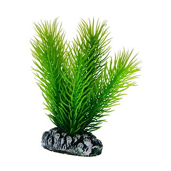 Plast växt- Mayaca 7cm