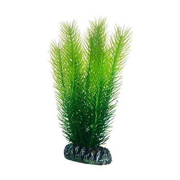 Plast växt- Mayaca 16cm