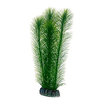 Plast växt- Mayaca 25cm