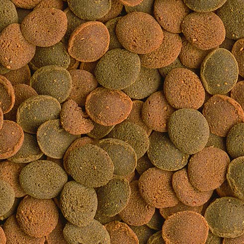 Tetra Wafer Mix 250ml (SLUT) - 2