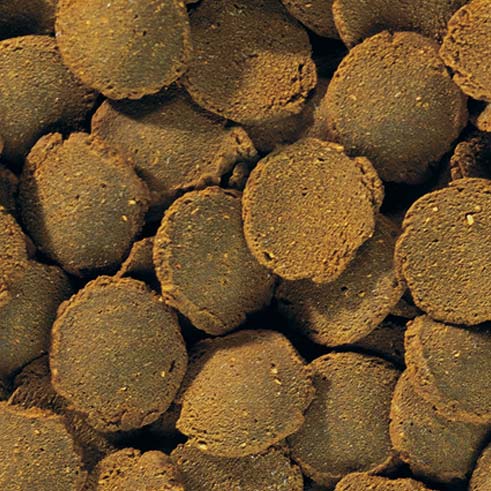 Tetra Pleco Wafers 250ml (SLUT) - 2