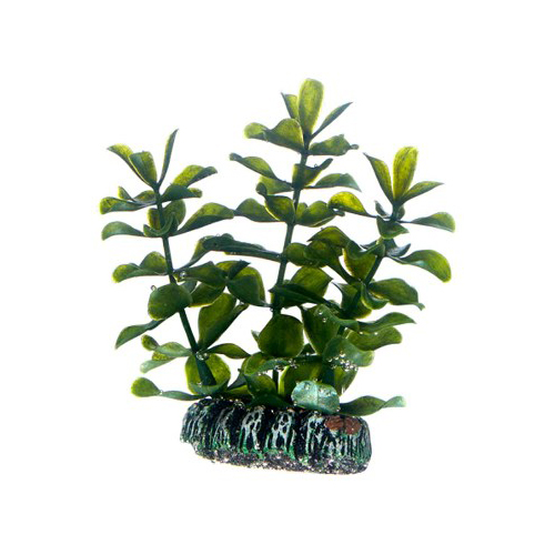 Plast växt- Bacopa 7cm
