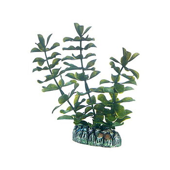 Plast växt- Bacopa 13cm