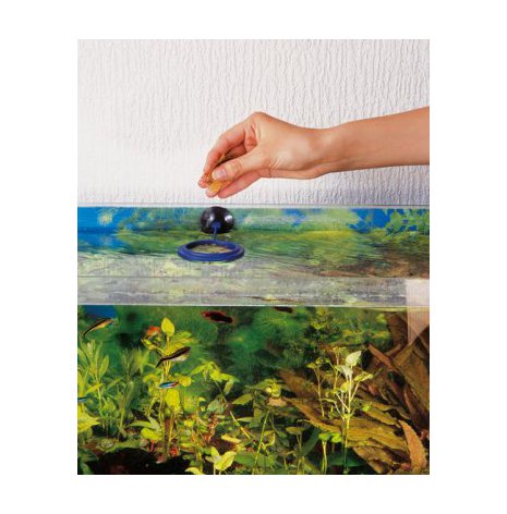 Feeding ring - 2