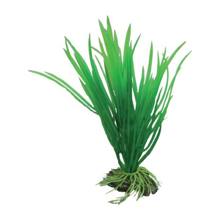 Plast växt- Cyperus 16cm