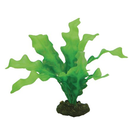 Plast växt- Echinodrus 20cm