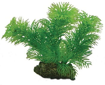 Plast växt- Egeria 13cm
