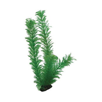 Plast växt- Egeria 34cm