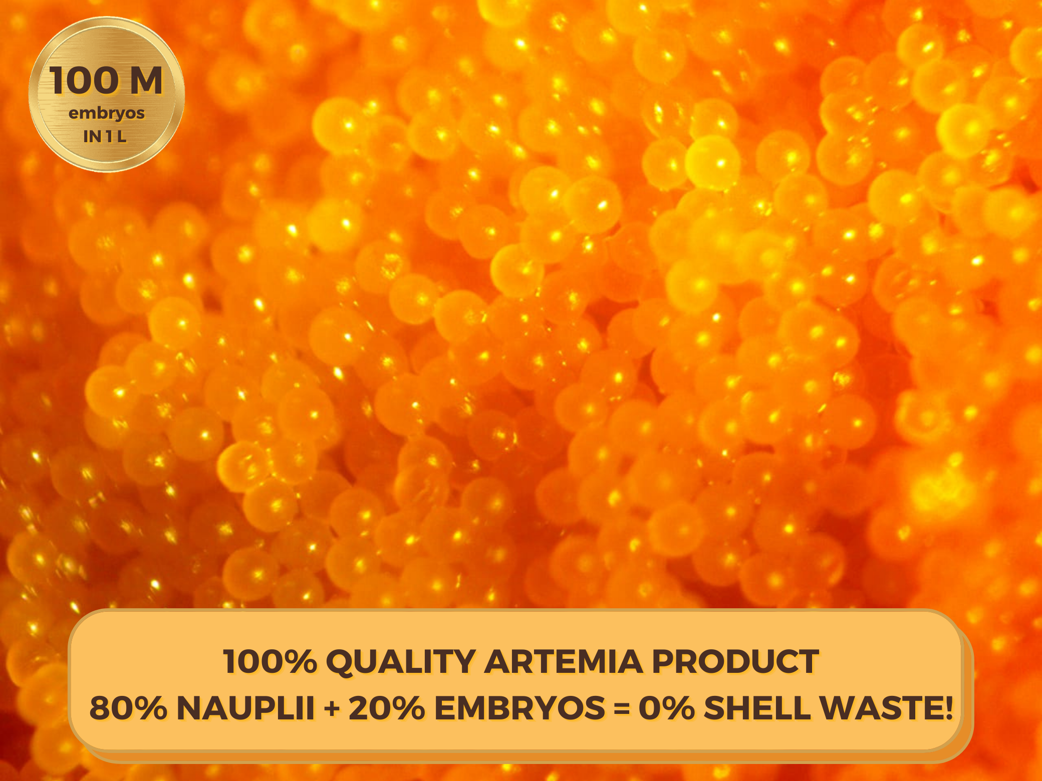 Embryo Artemia - Live Decapsulated Brine Shrimp Eggs 85-90% HR,  150 ml - 2
